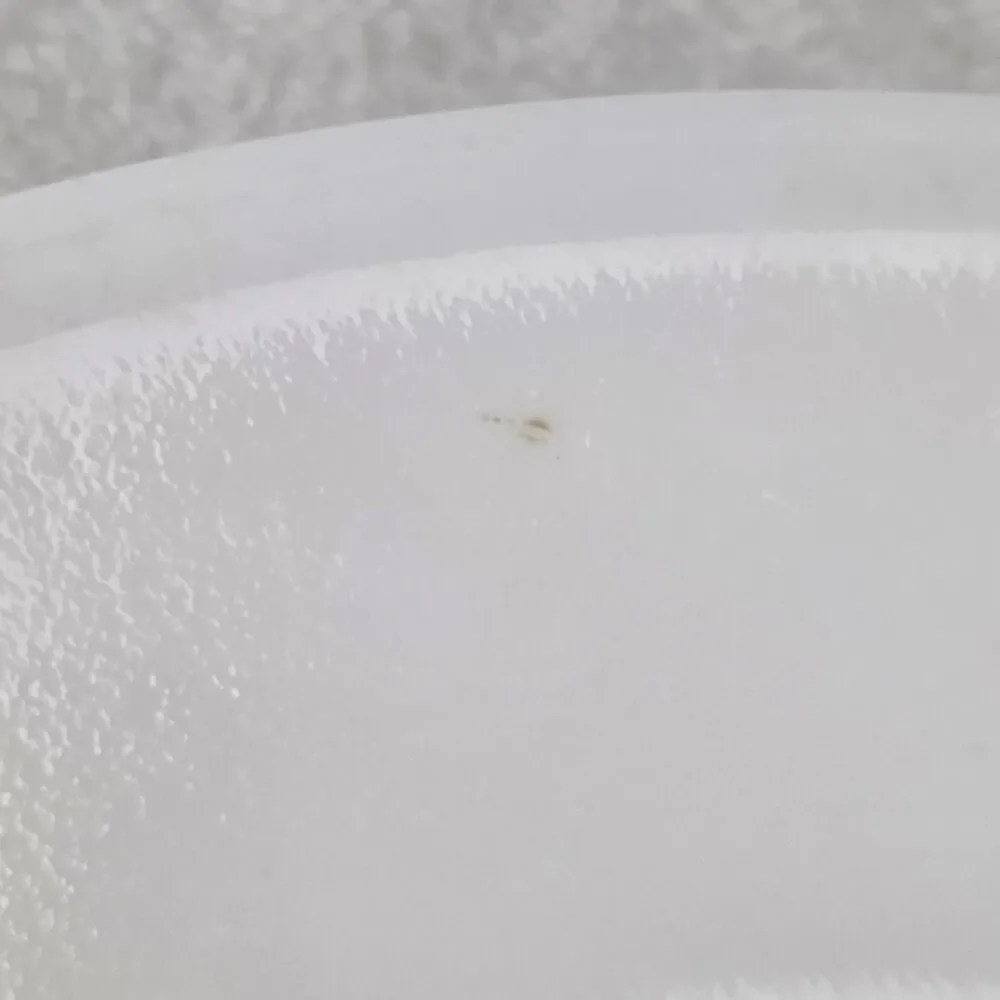 Vintage Corelle By Corning Butterfly Gold 12.25